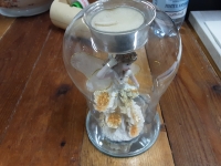 miniatura