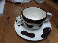 miniatura