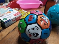 miniatura