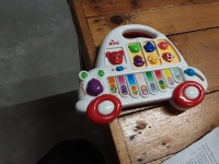 miniatura